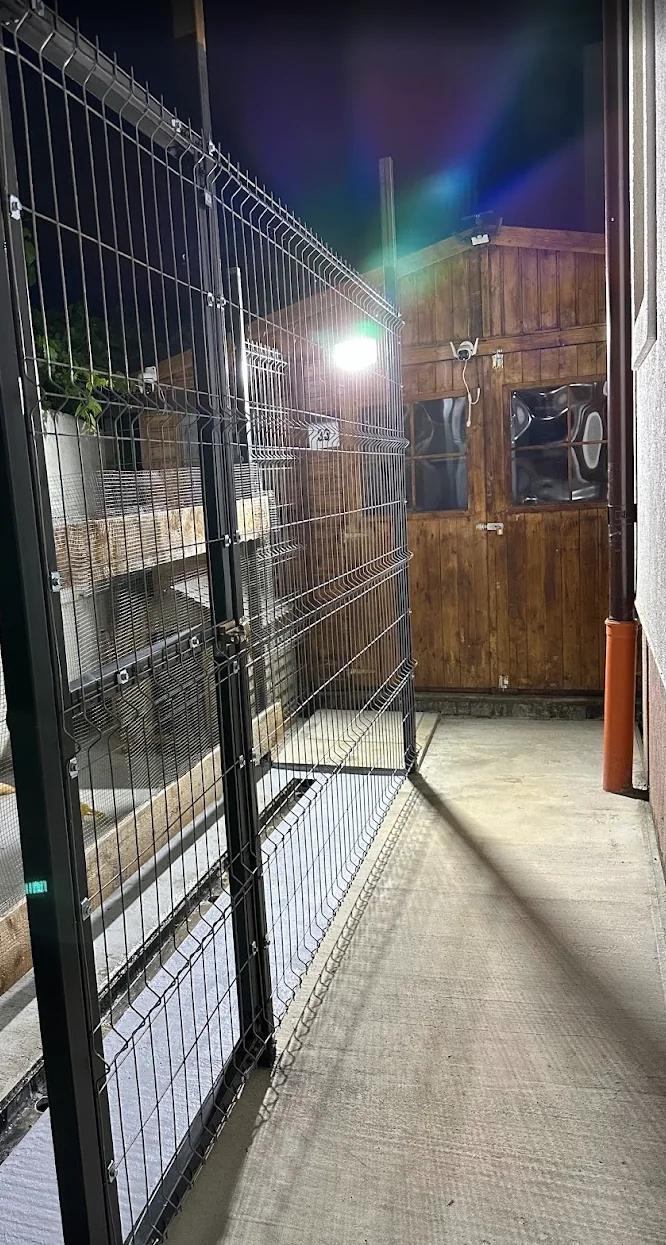 Padoc pentru câine, fotografia 10 din 10